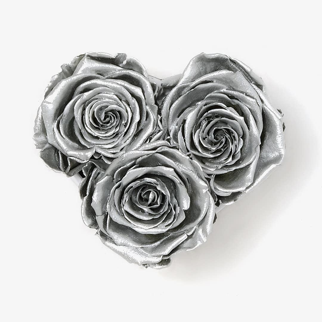 Image Carousel Slide