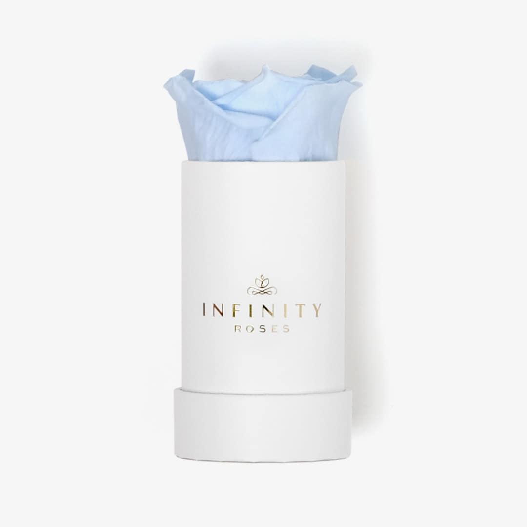 Single Rose Box - Baby Blue Rose - White Box