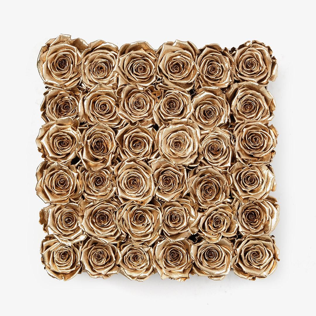 Image Carousel Slide