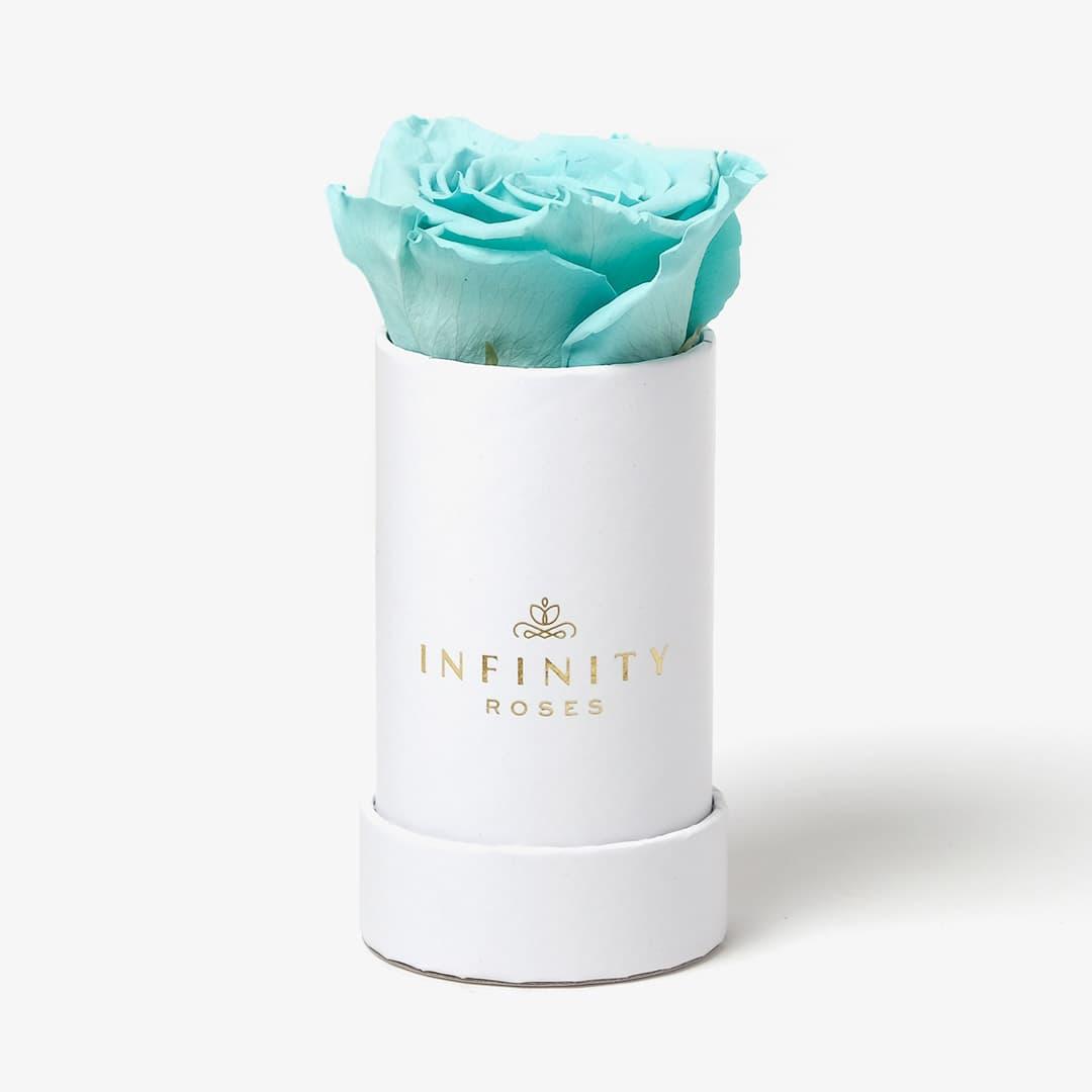 Single Rose Box - Turquoise Rose - White Box