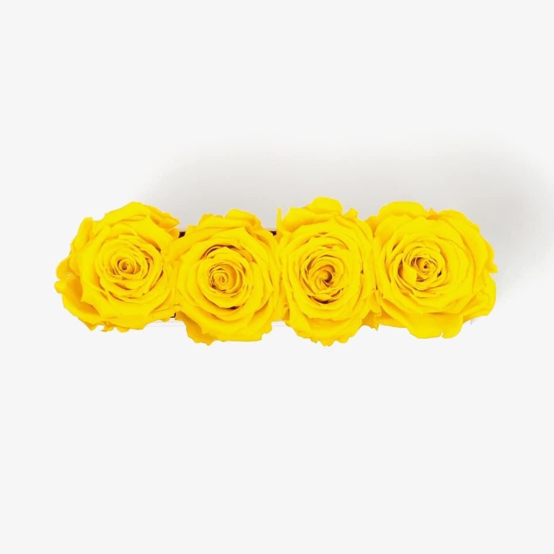 Image Carousel Slide