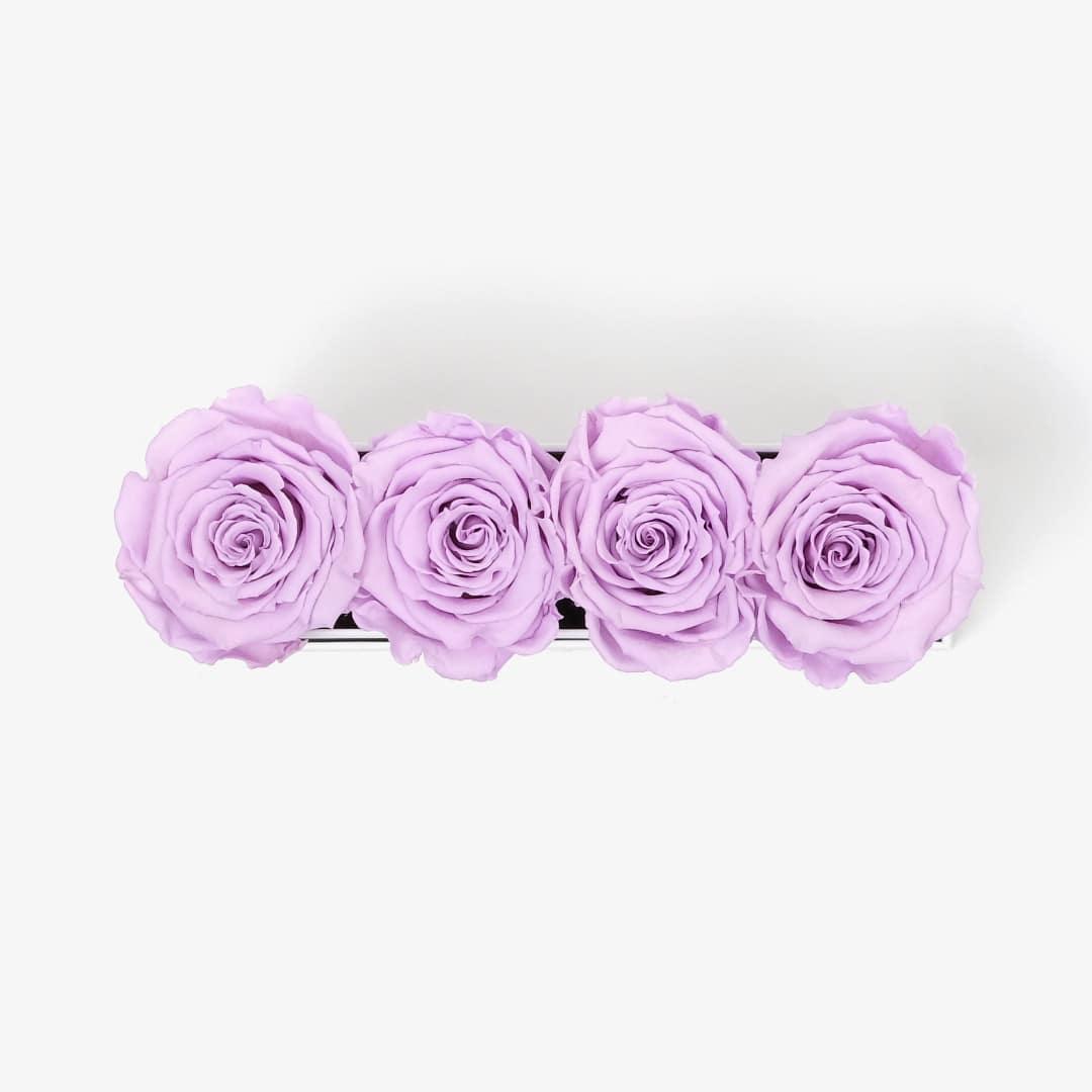 Image Carousel Slide