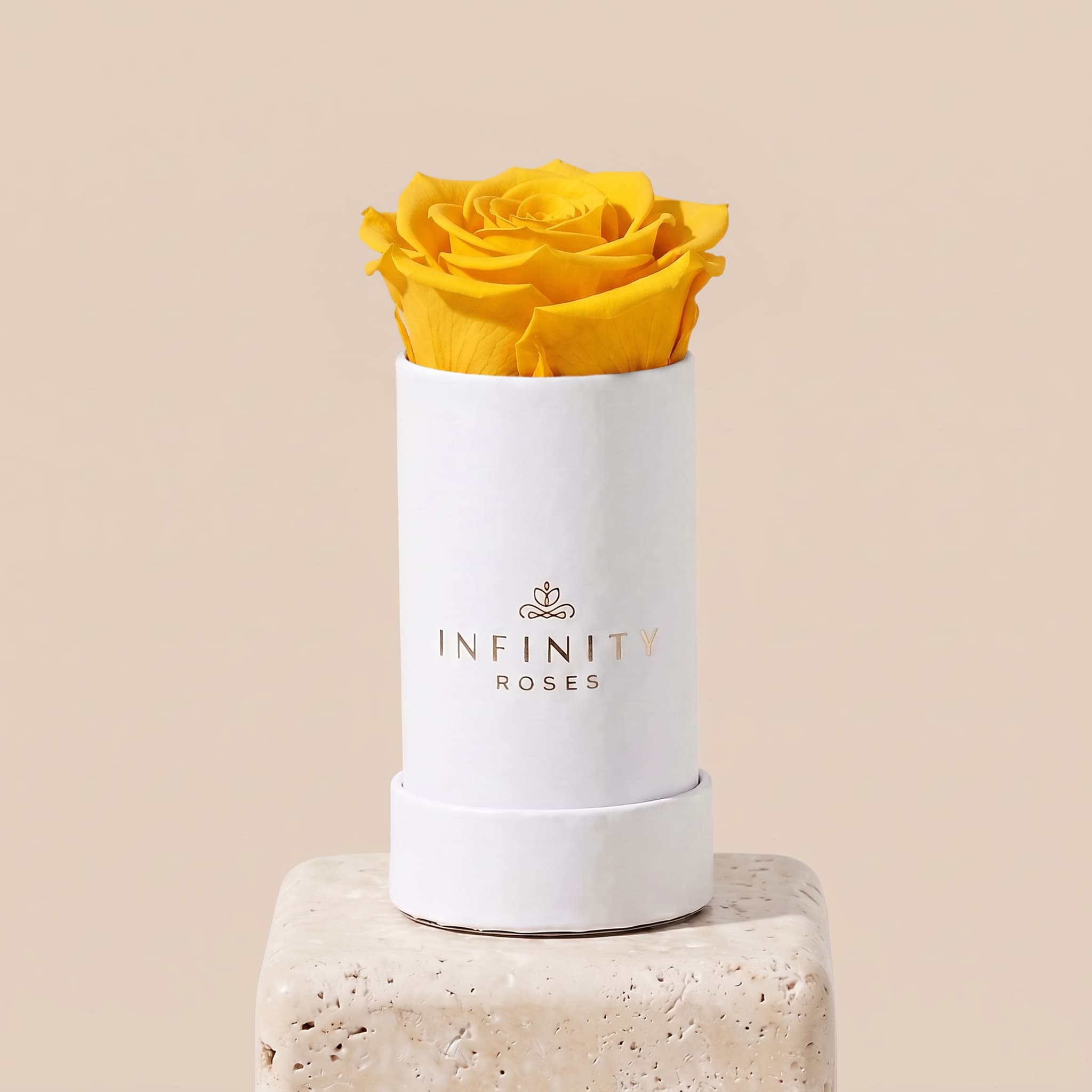 Single Rose Box - Yellow Rose - White Box
