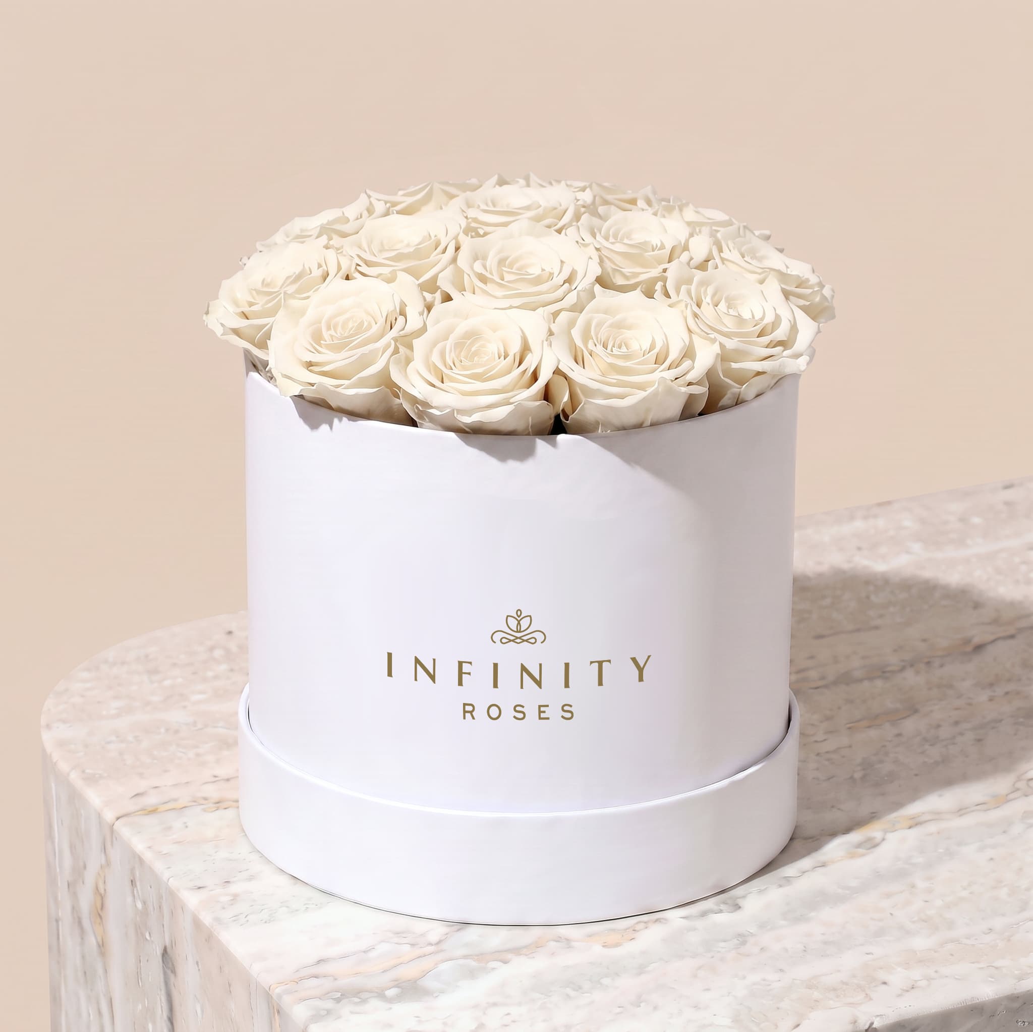 Large Bloom Rose Box - Ivory Rose - White Box