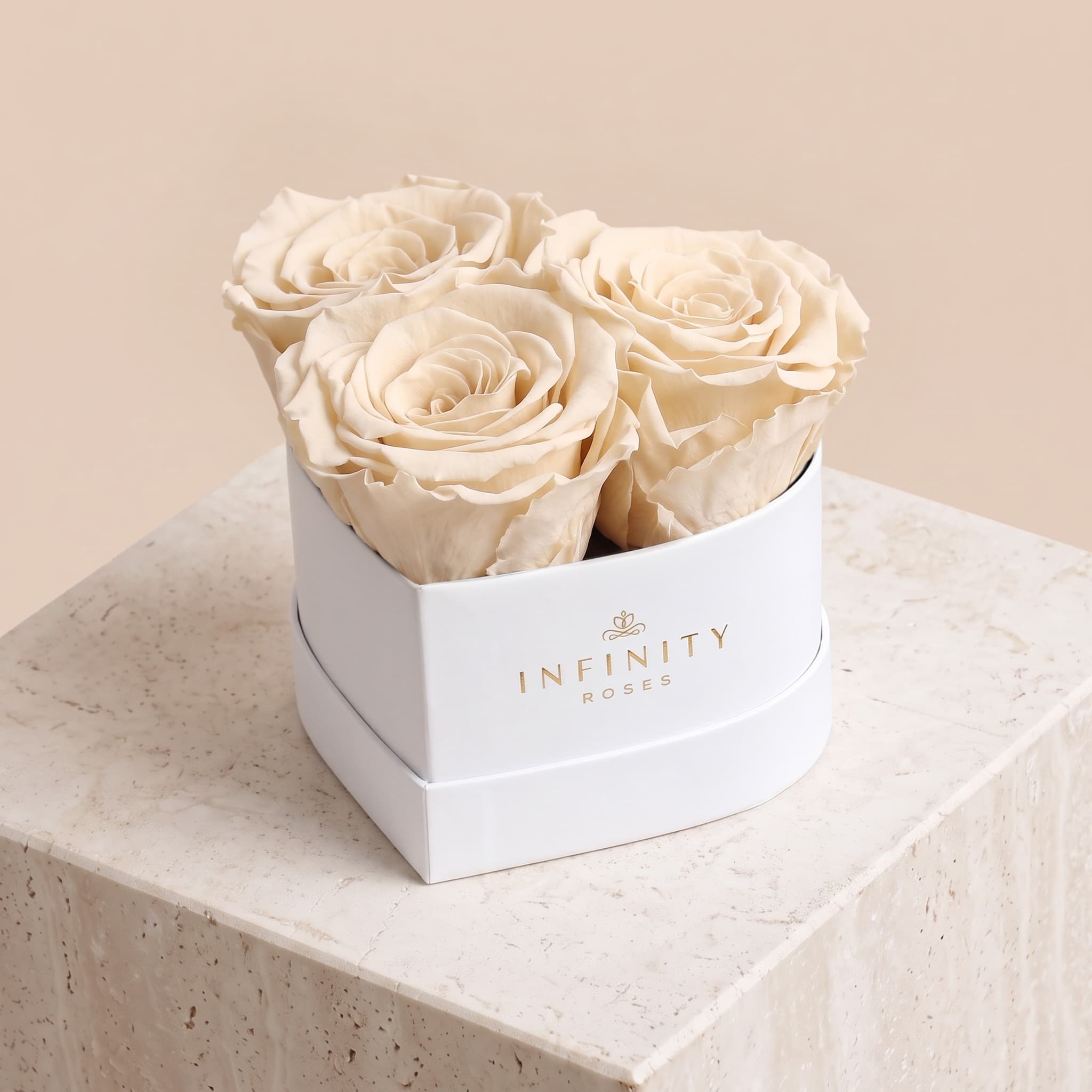 Small Heart Box - Ivory Rose - White Box