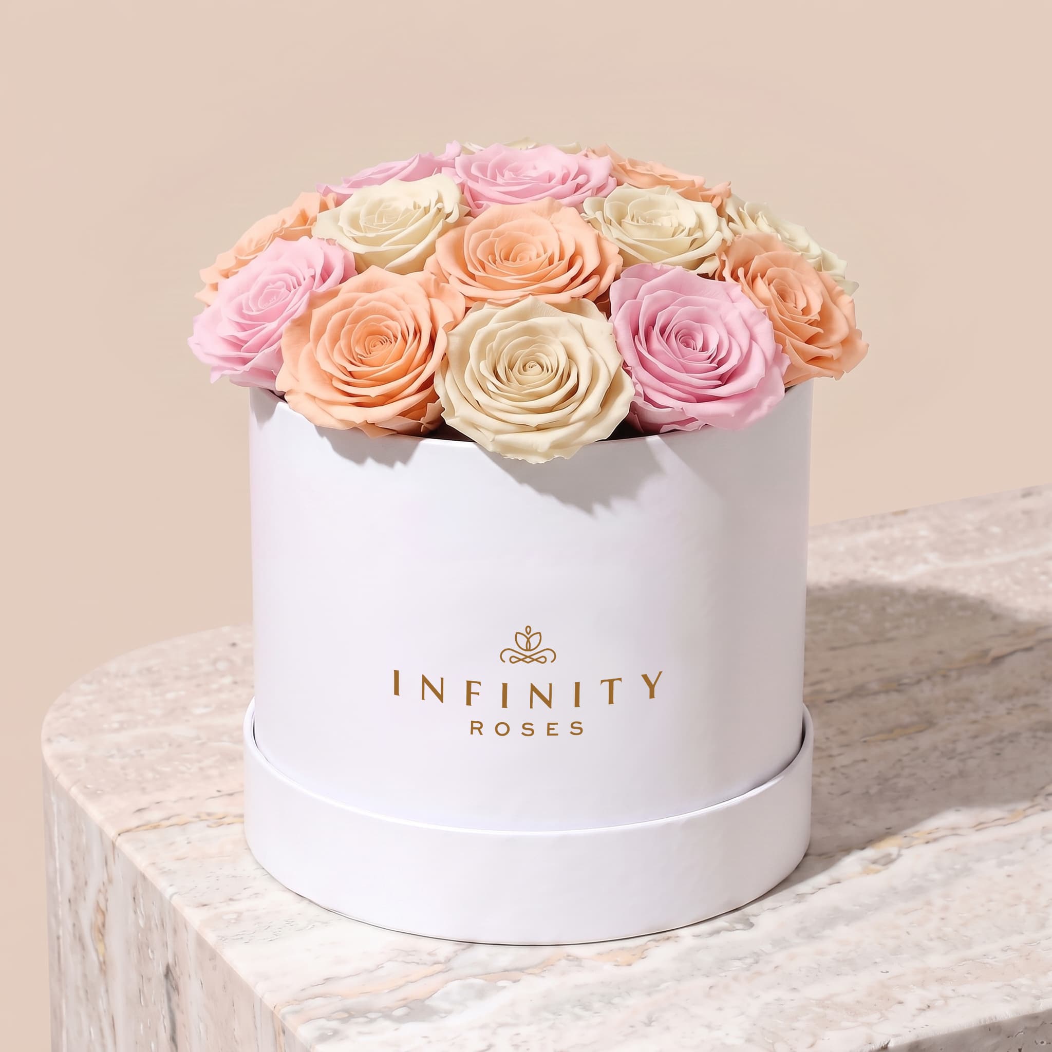Large Bloom Rose Box - Blush Rose - White Box