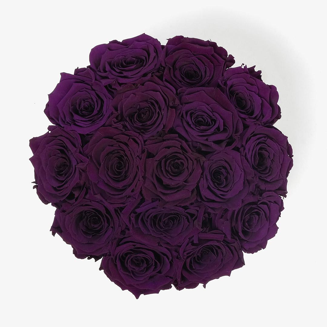 Image Carousel Slide