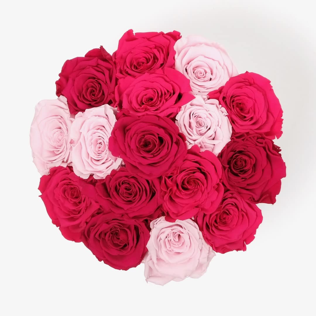 Large Bloom Rose Box - Pink Ombre Rose - White Box