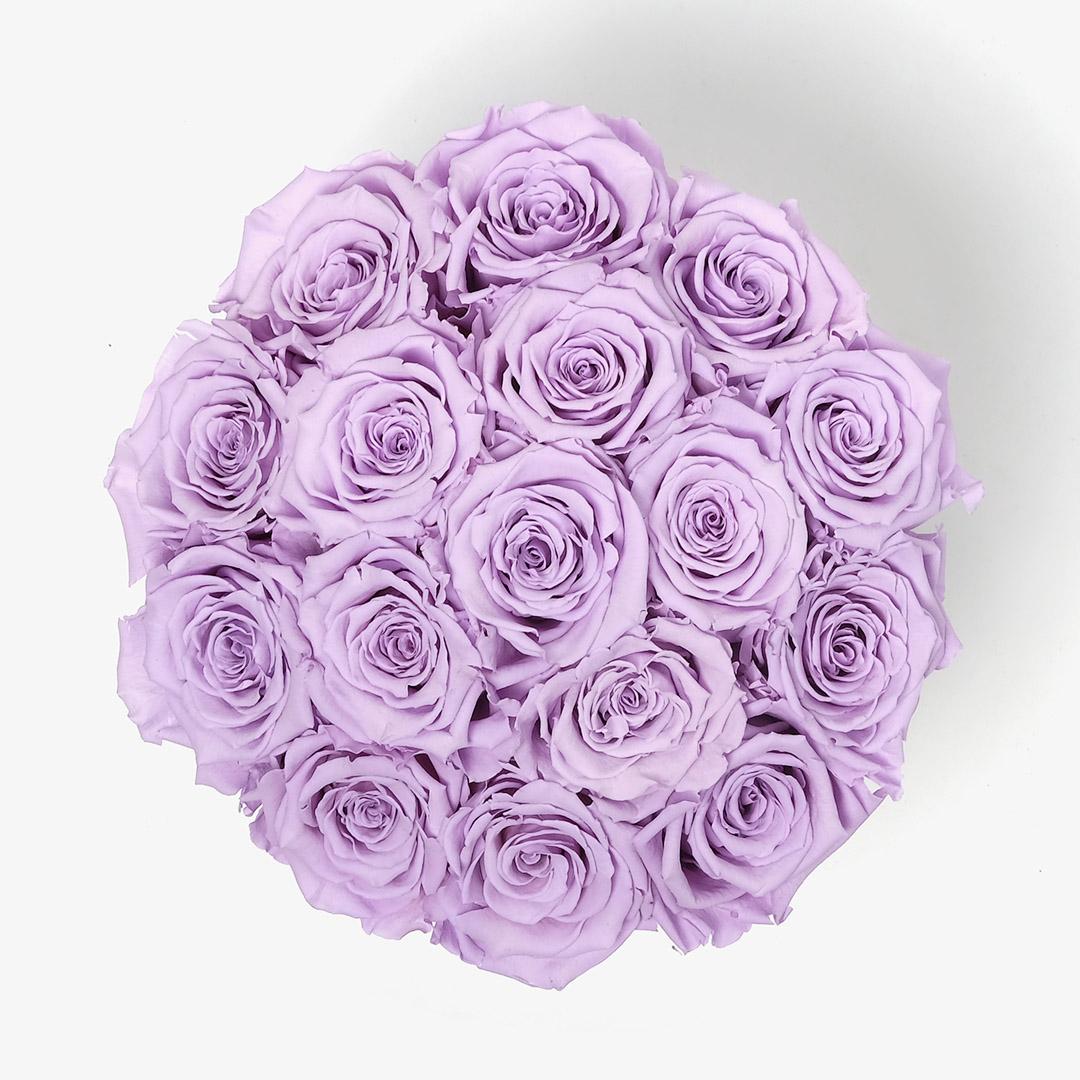 Image Carousel Slide