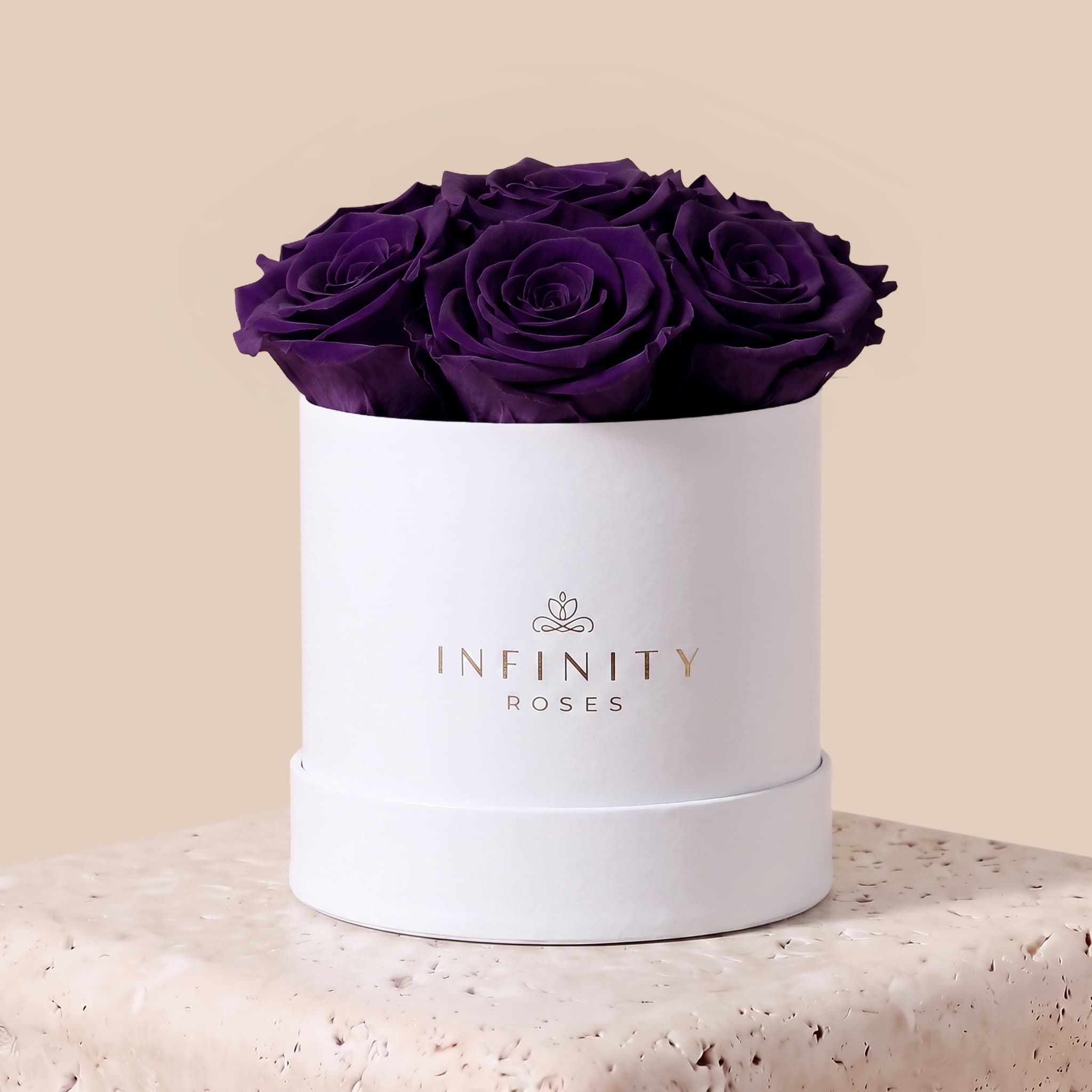 Medium Bloom Rose Box - Violet Rose - White Box