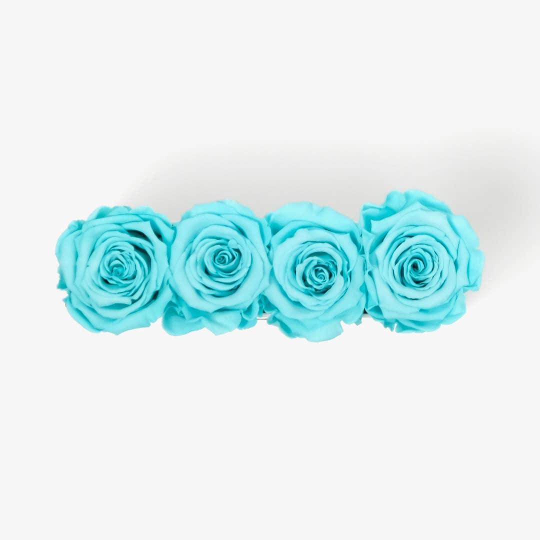 Image Carousel Slide