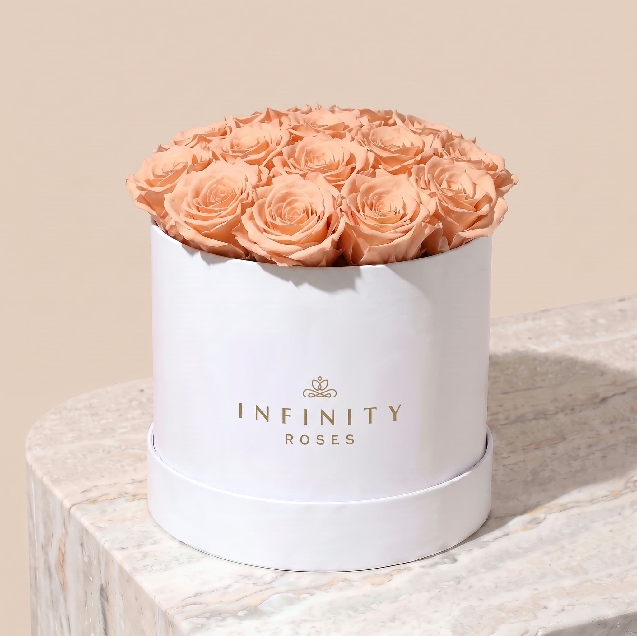 Large Bloom Rose Box - Chocolate Rose - White Box