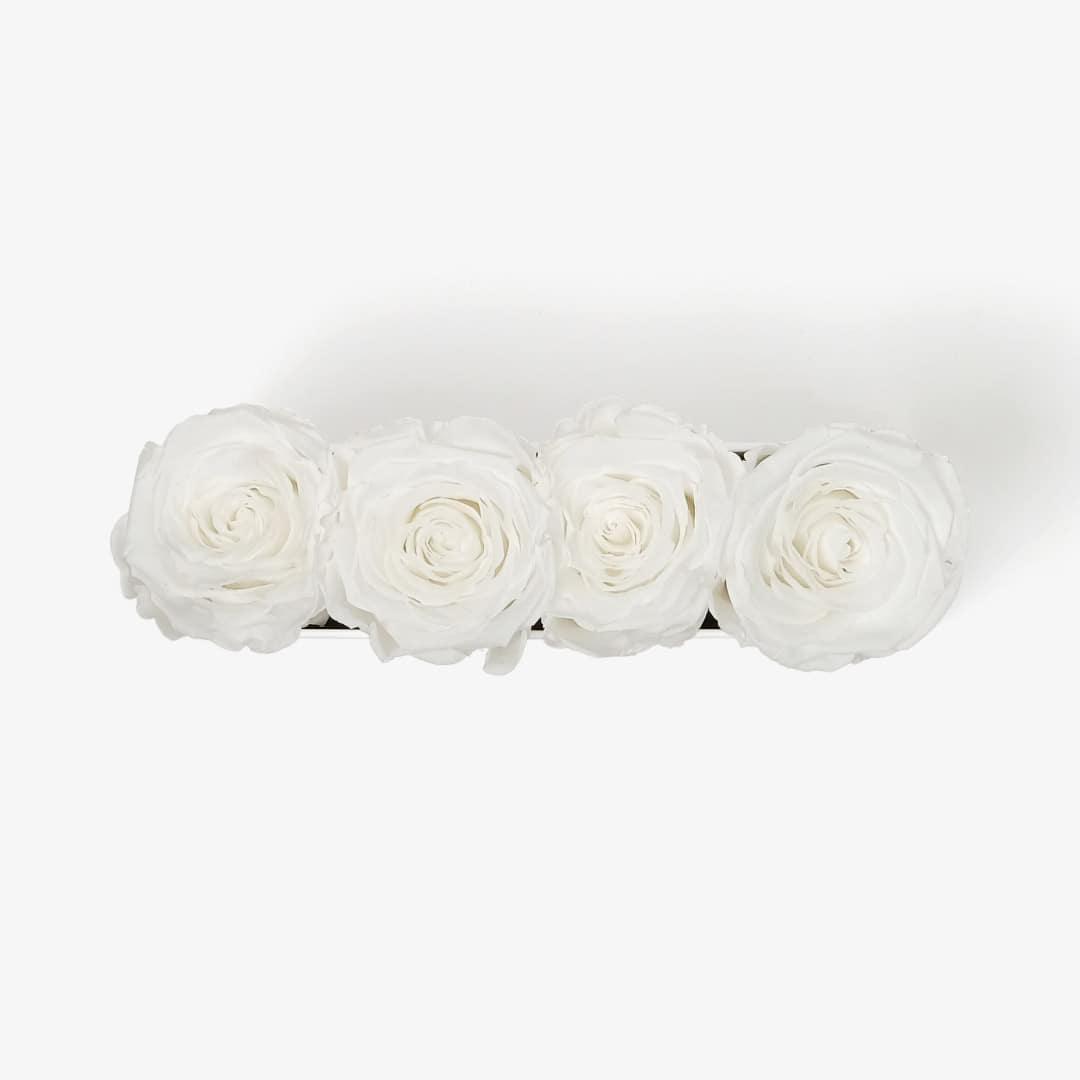 Image Carousel Slide