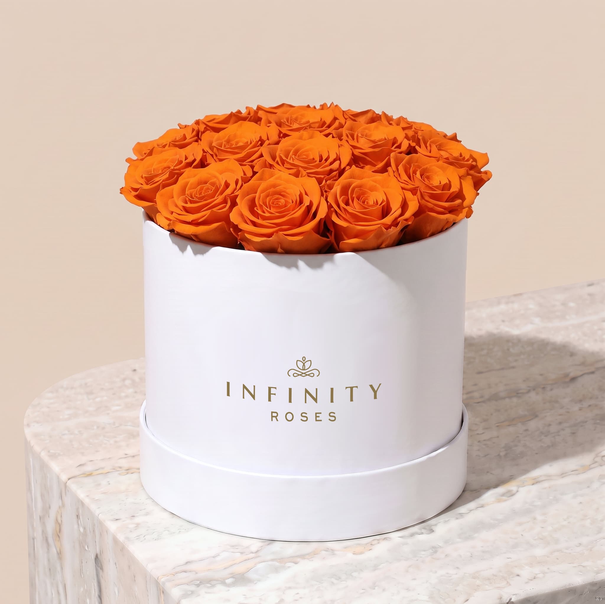 Large Bloom Rose Box - Orange Rose - White Box
