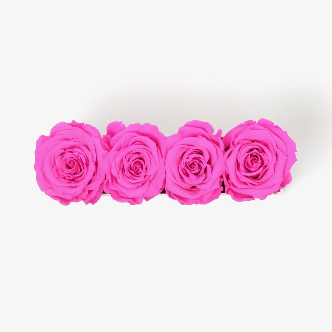 Image Carousel Slide