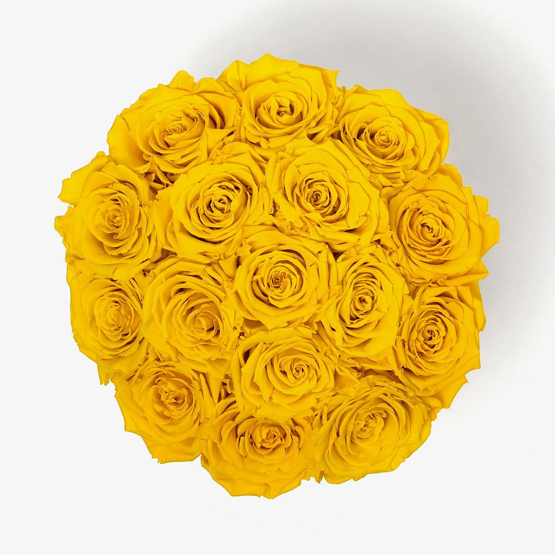 Image Carousel Slide