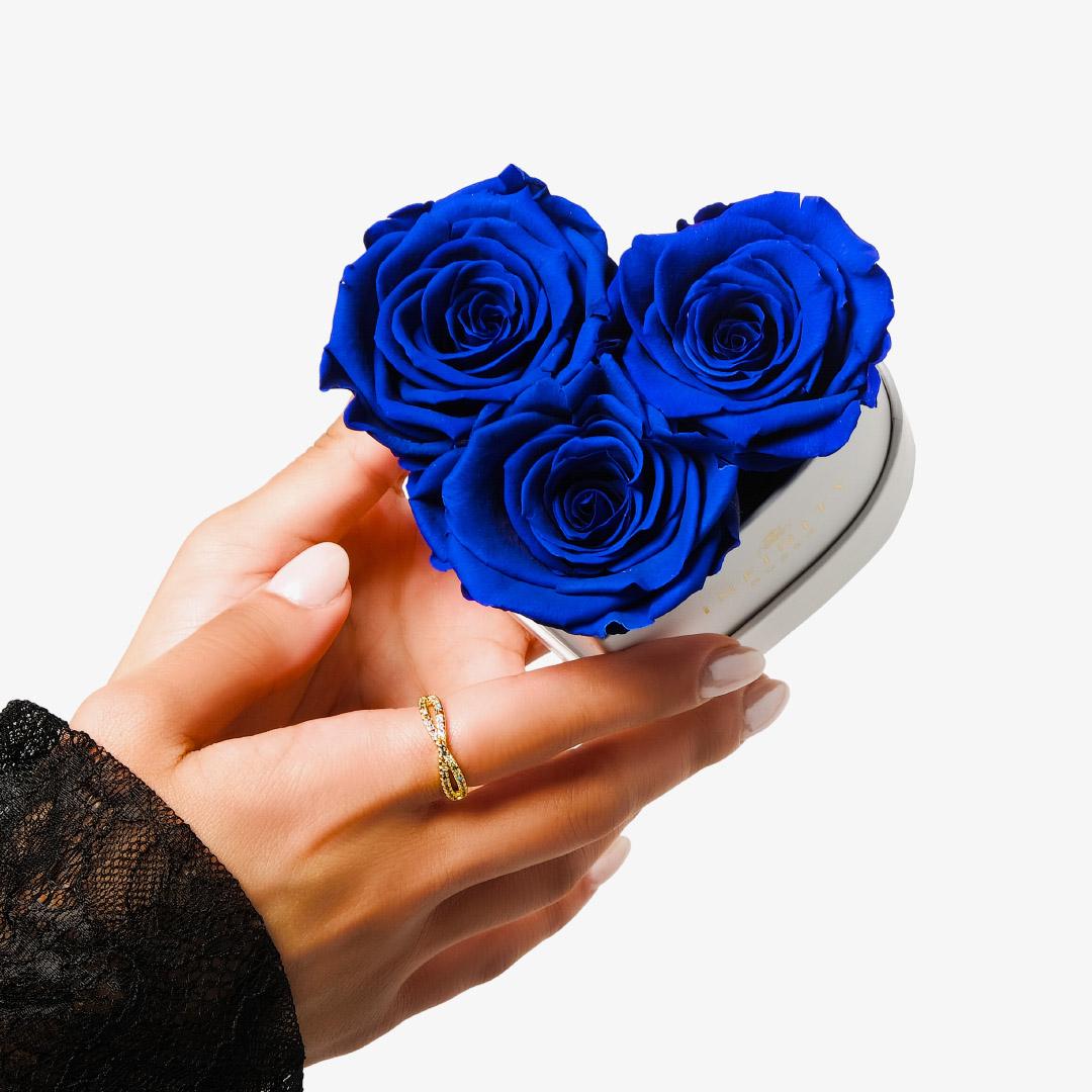 Image Carousel Slide