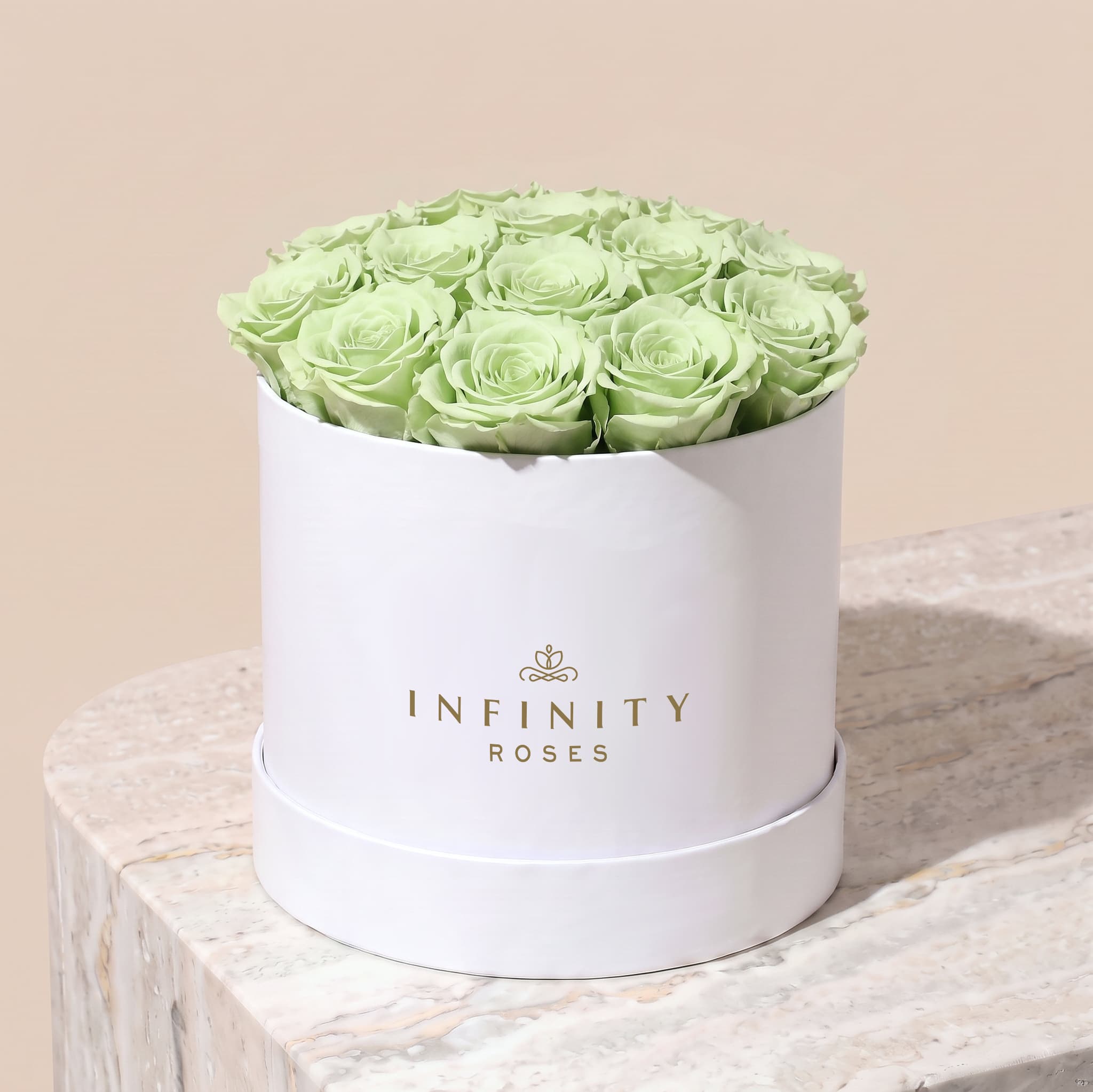 Large Bloom Rose Box - Mint Rose - White Box