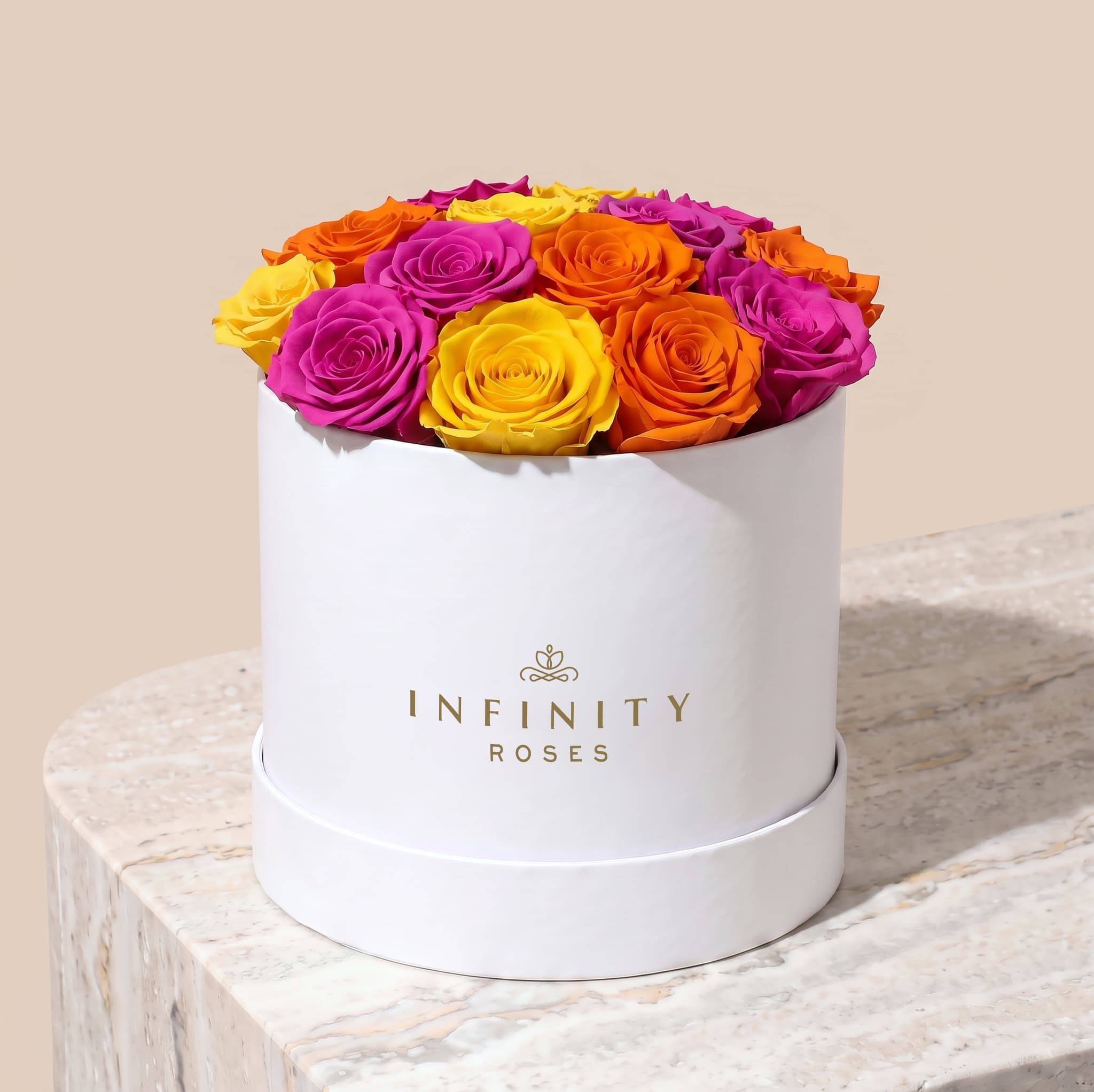 Large Bloom Rose Box - Carnival Rose - White Box