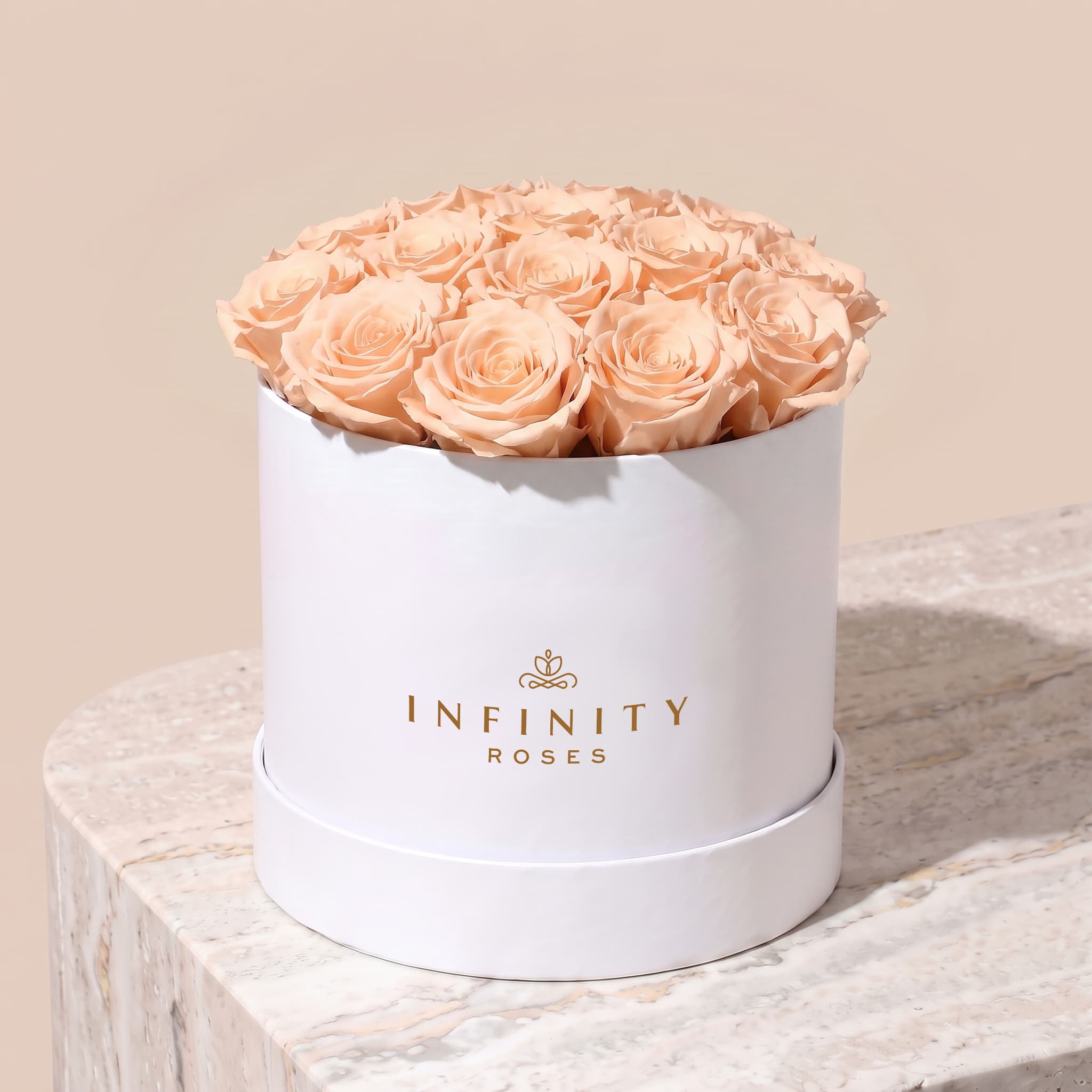 Large Bloom Rose Box - Peach Rose - White Box