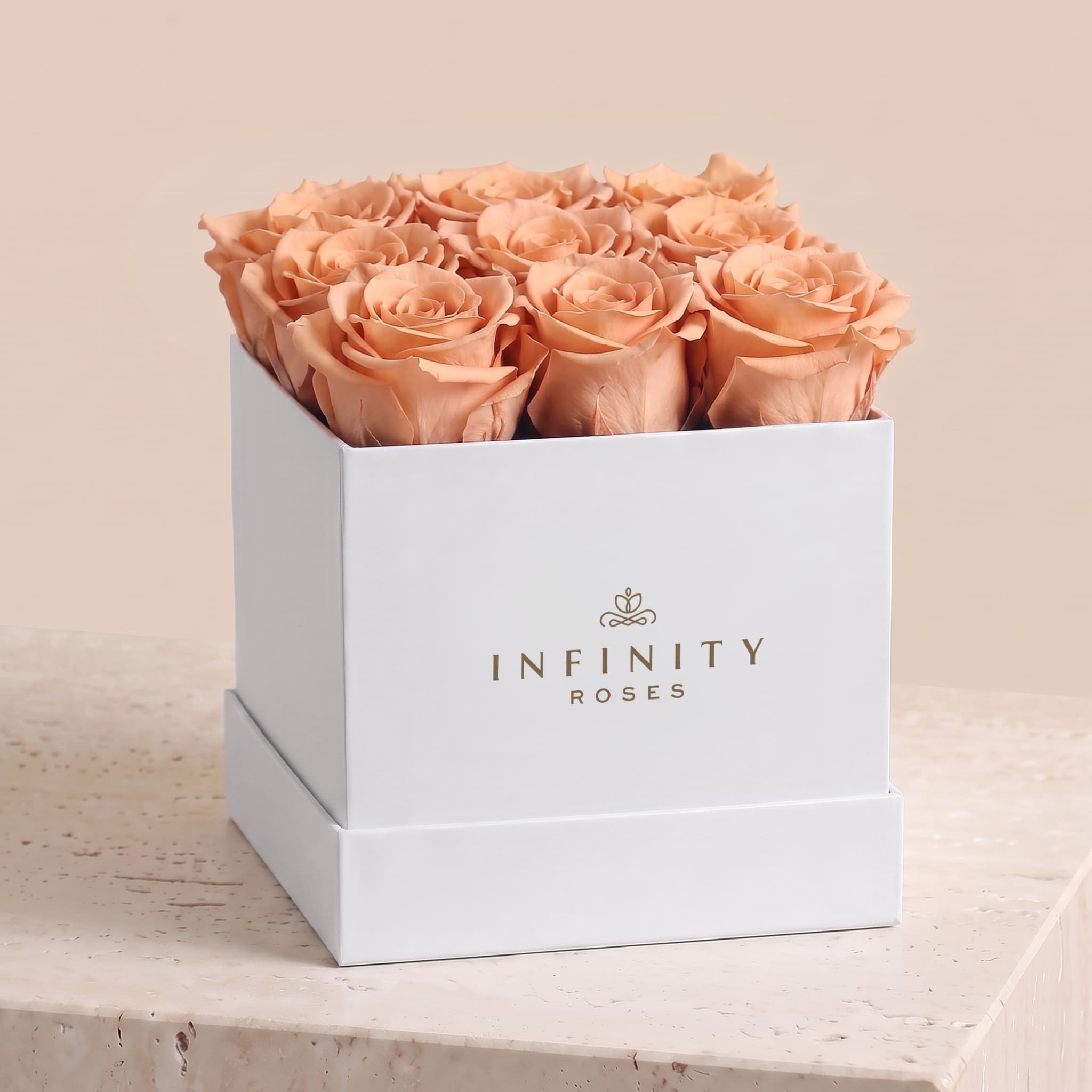 Medium Square Rose Box - Chocolate Rose - White Box
