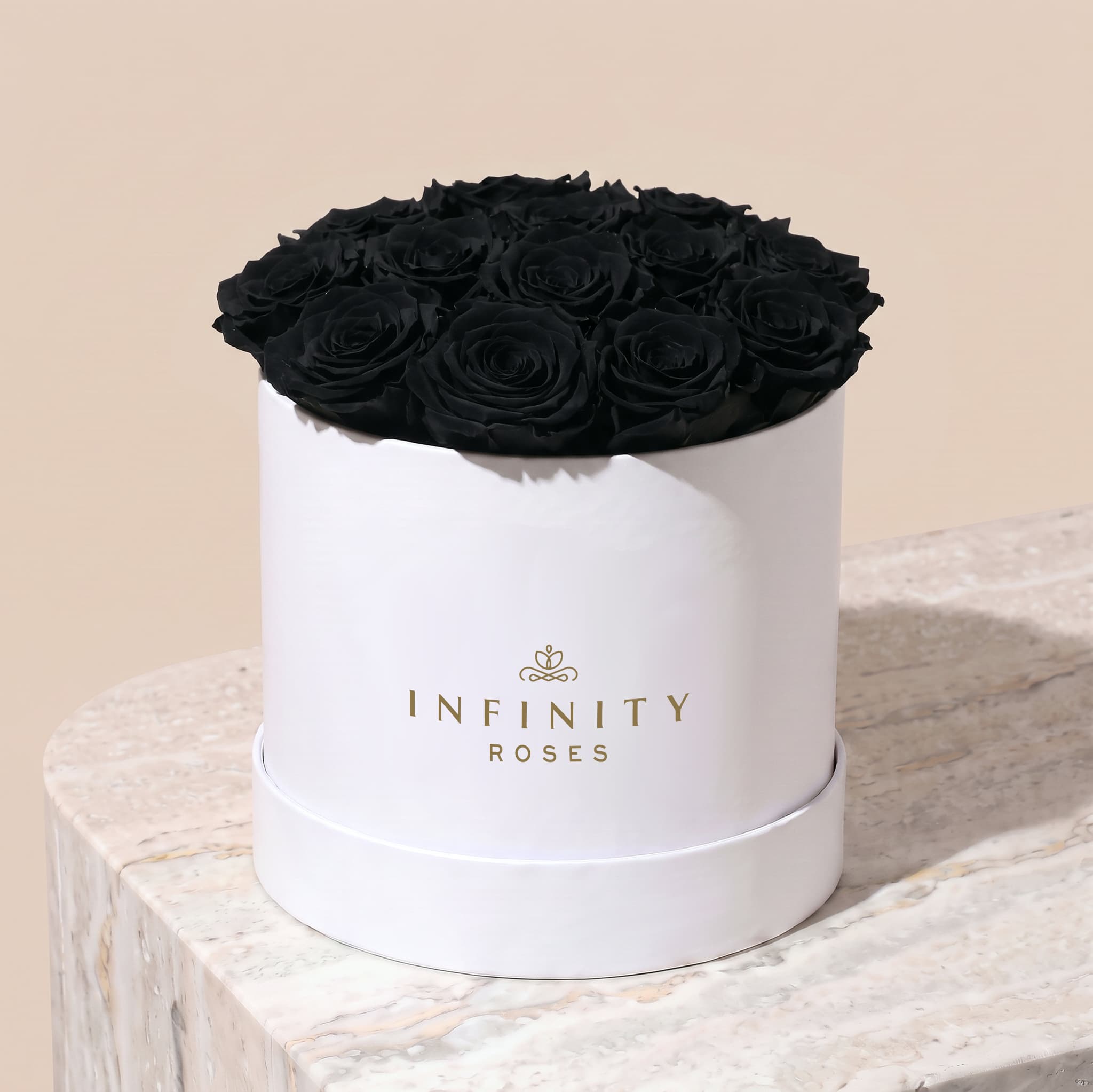 Large Bloom Rose Box - Black Rose - White Box