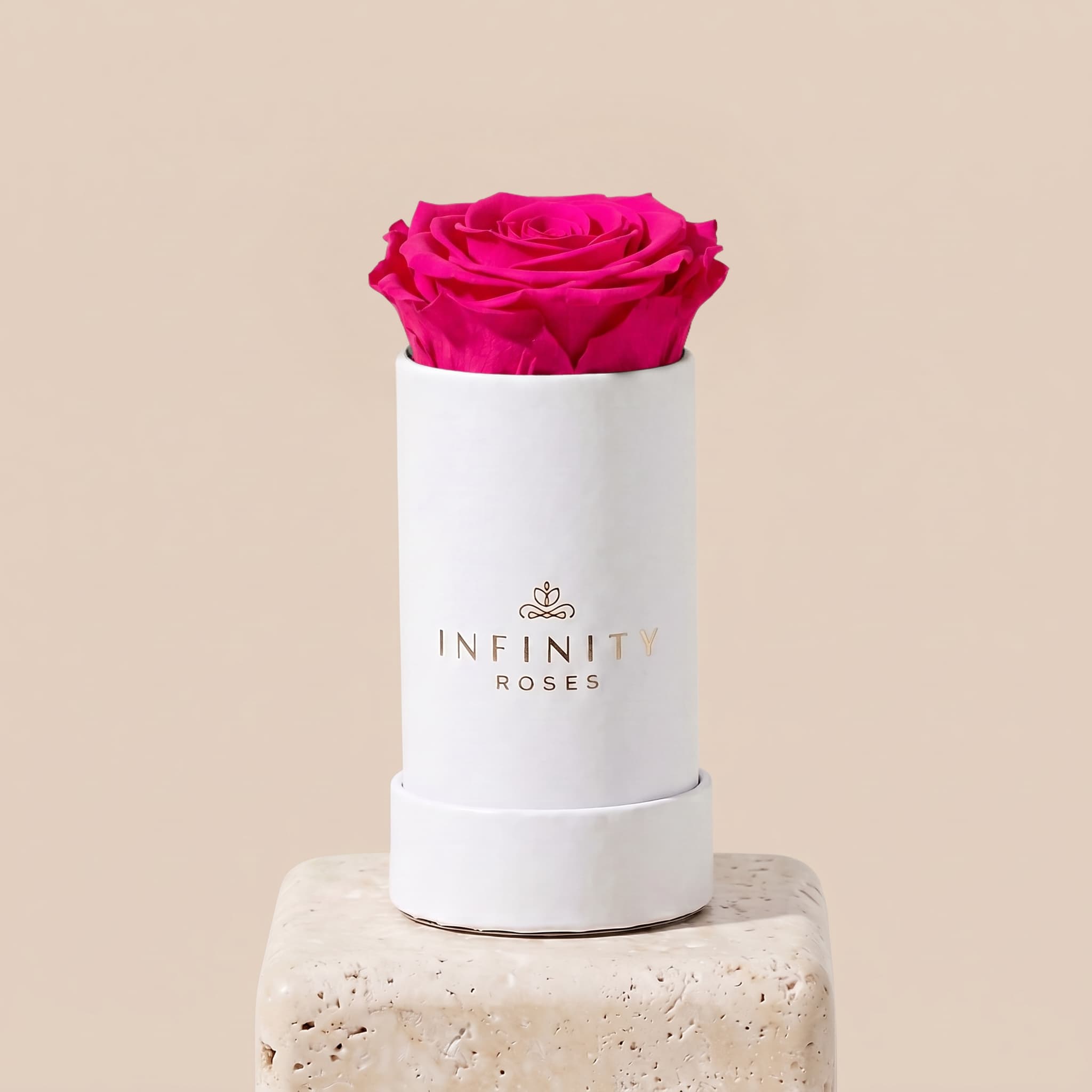 Single Rose Box - Fuchsia Rose - White Box