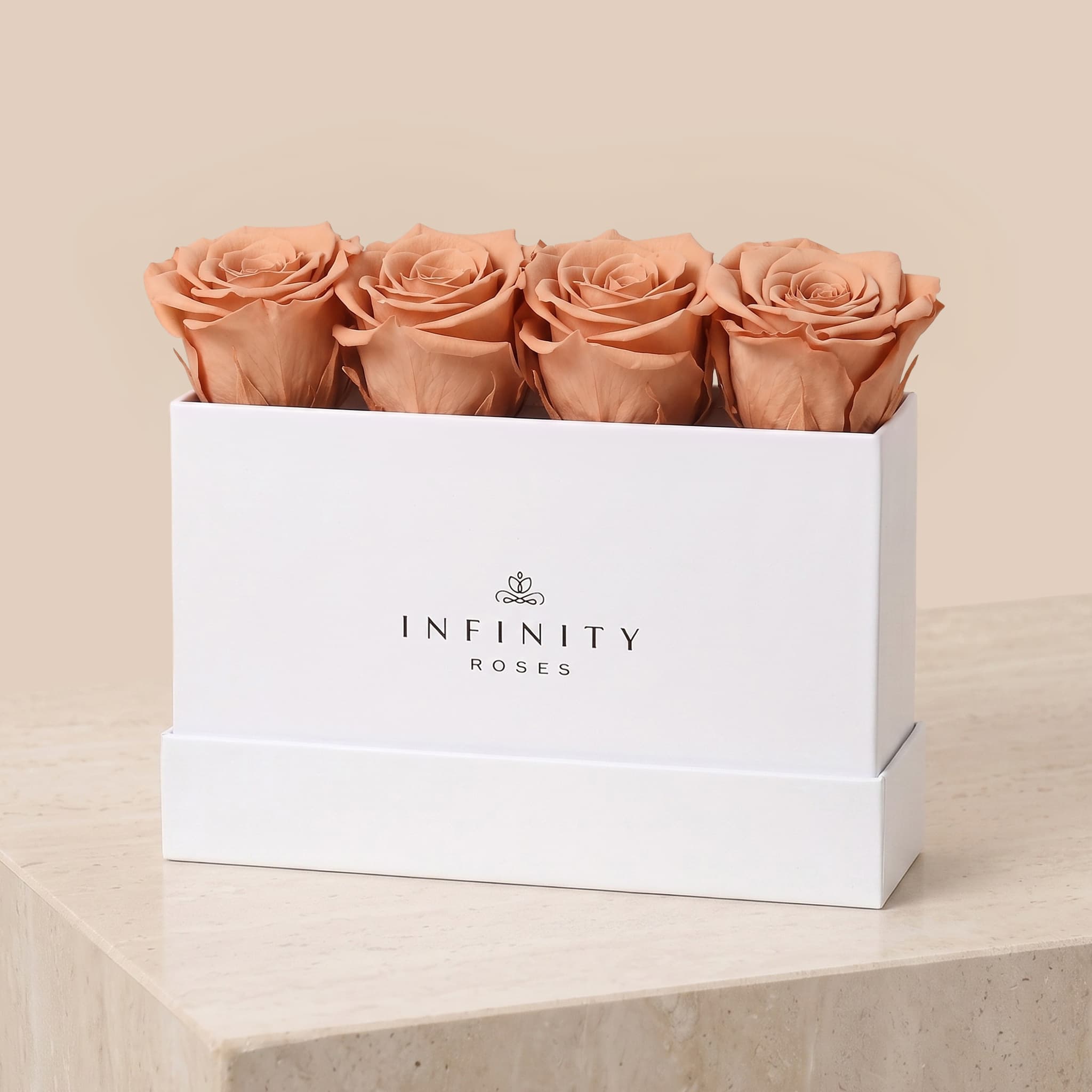 Small Rose Box - Chocolate Rose - White Box