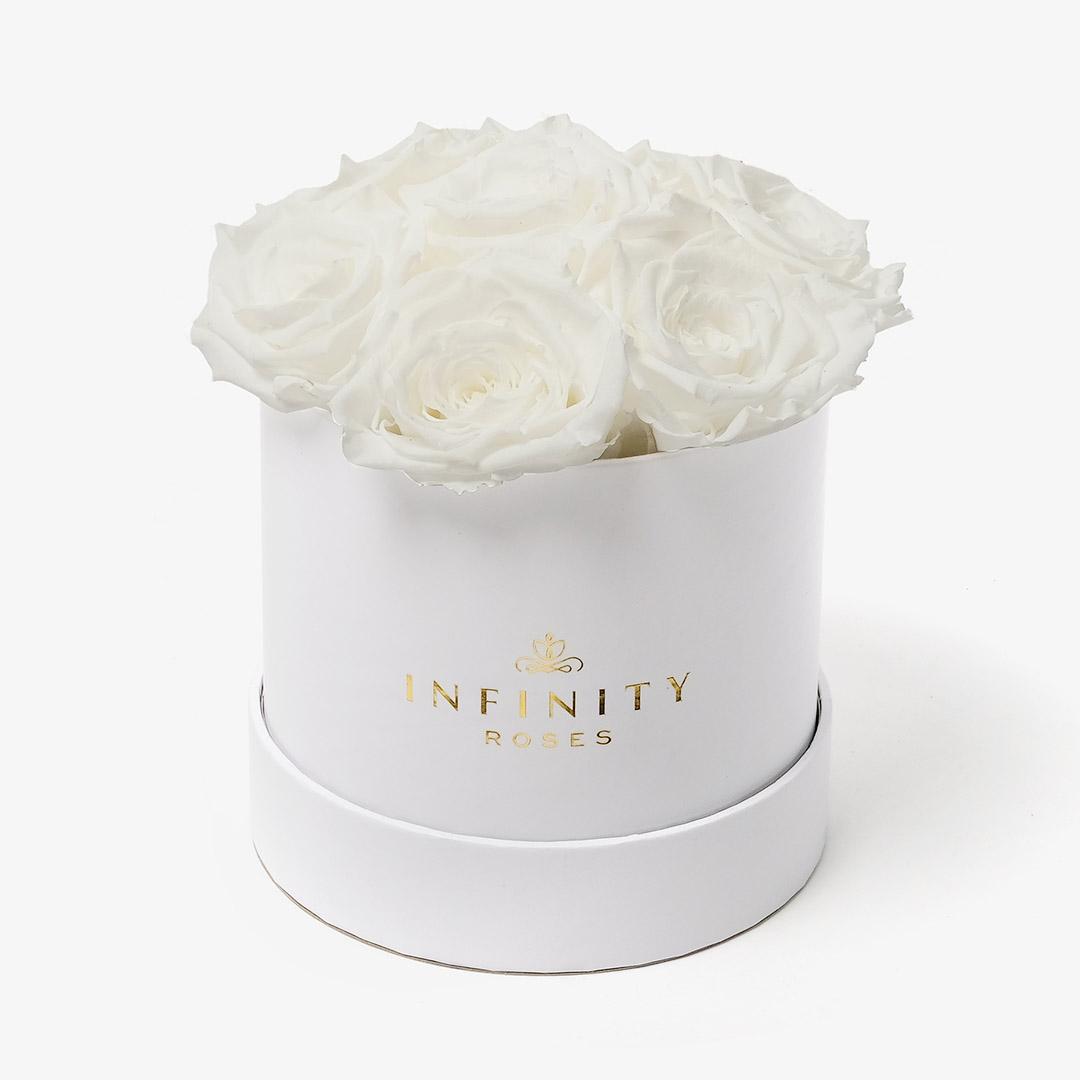 Image Carousel Slide