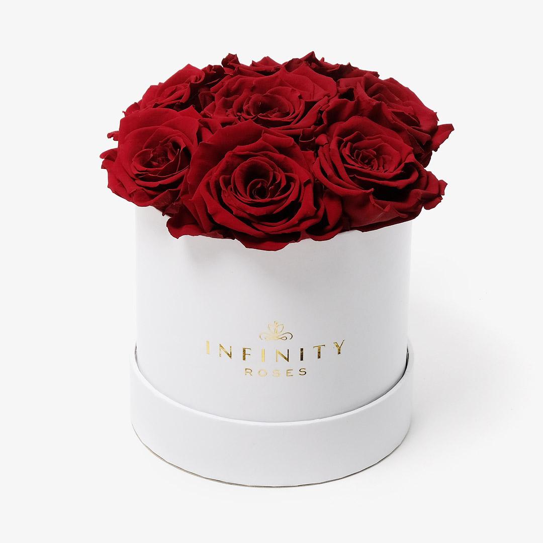 Image Carousel Slide