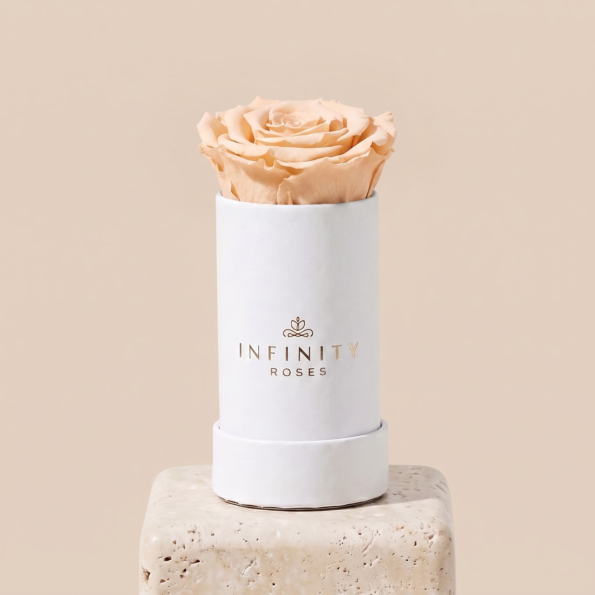 Single Rose Box - Champagne Rose - White Box