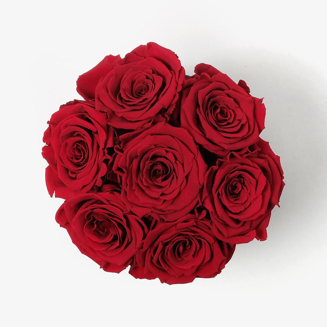 Image Carousel Slide