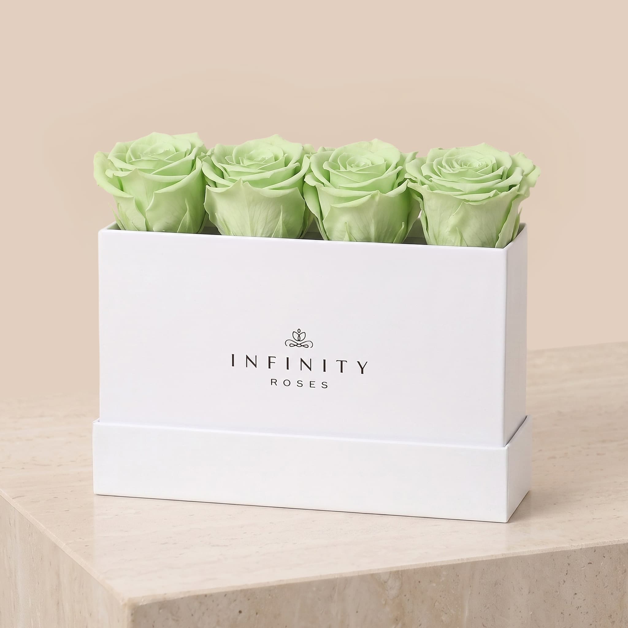 Small Rose Box - Mint Rose - White Box