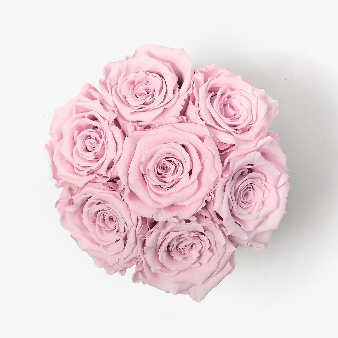 Image Carousel Slide