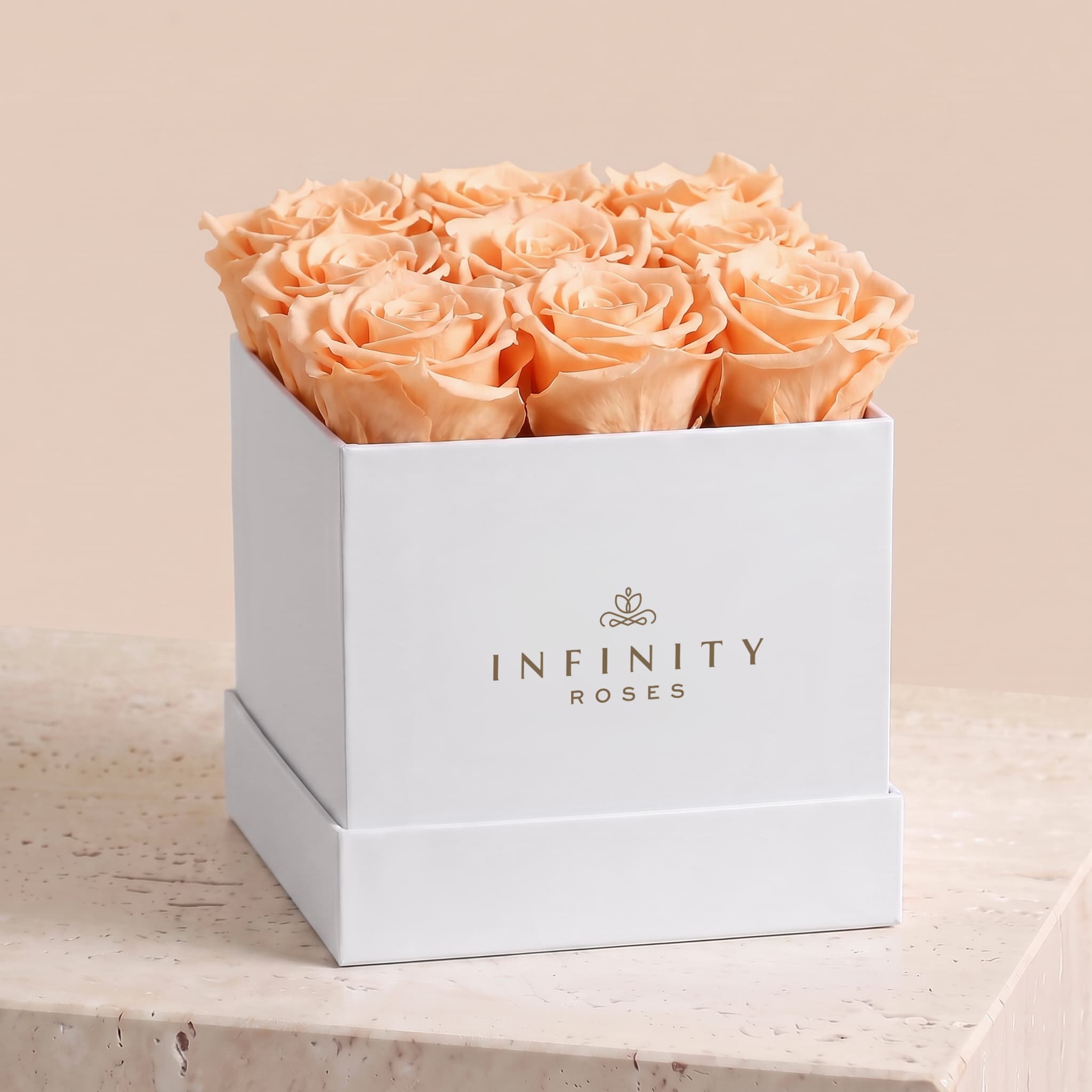 Medium Square Rose Box - Champagne Rose - White Box