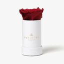 Official Infinity Roses - Forever Roses That Last A Year Delivered ...
