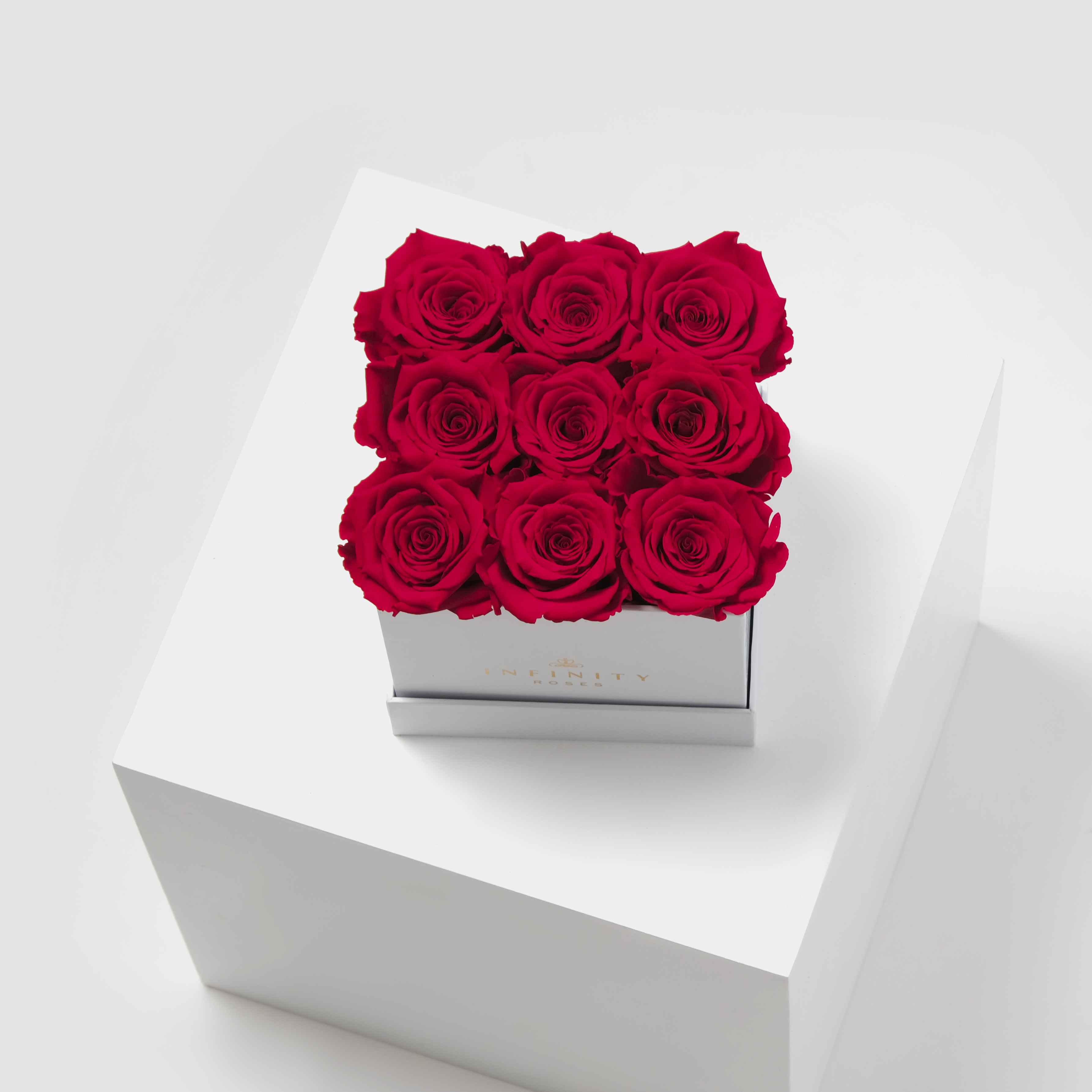 6 Benefits of Preserved Roses - The Infinity Roses Blog