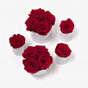 Red-Infinity-Roses-In-A-Box