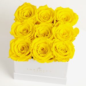 9 of our yellow roses