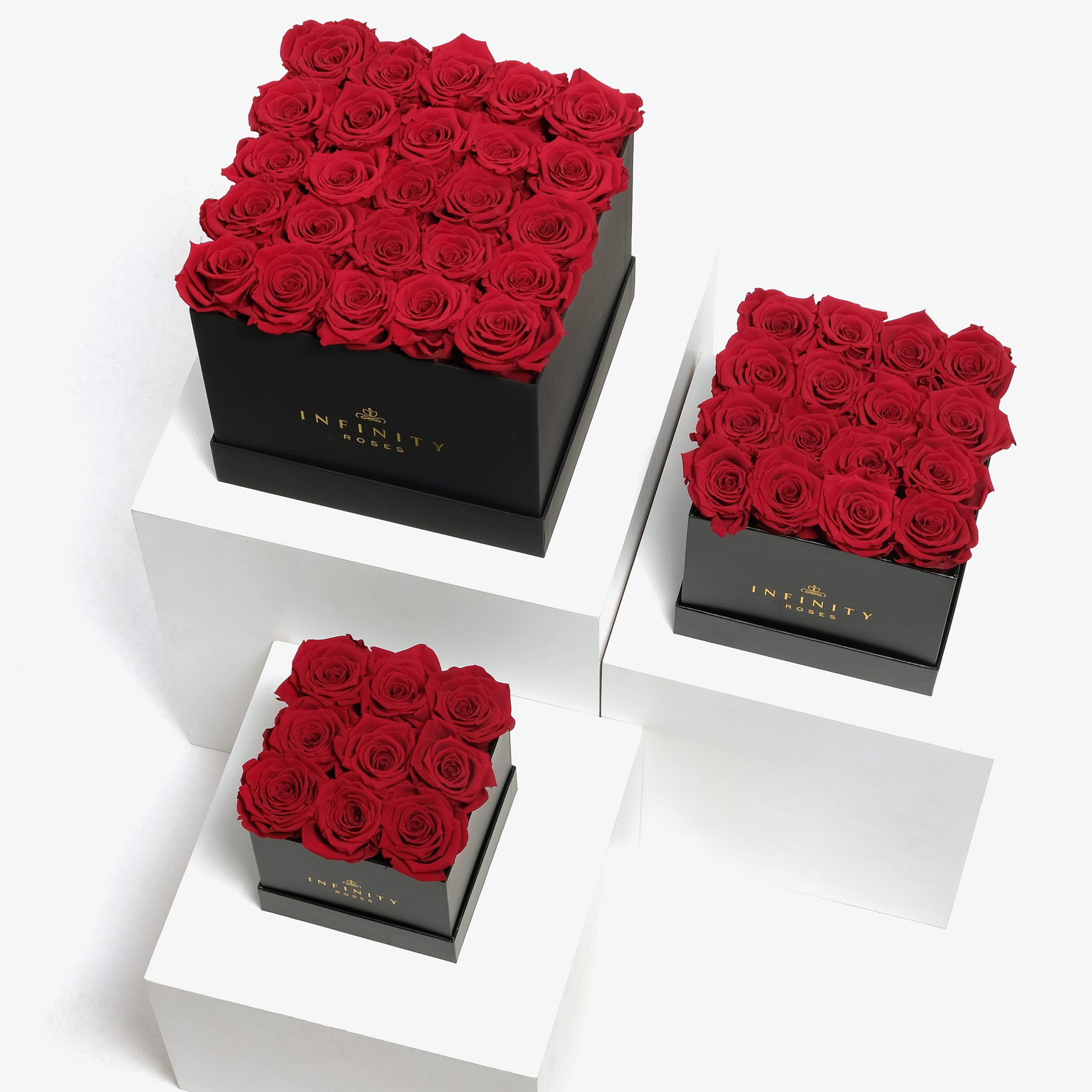 6 Benefits of Preserved Roses