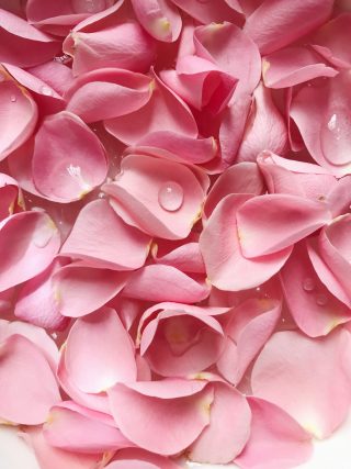 6 Easy Ways to Preserve Roses - The Infinity Roses Blog